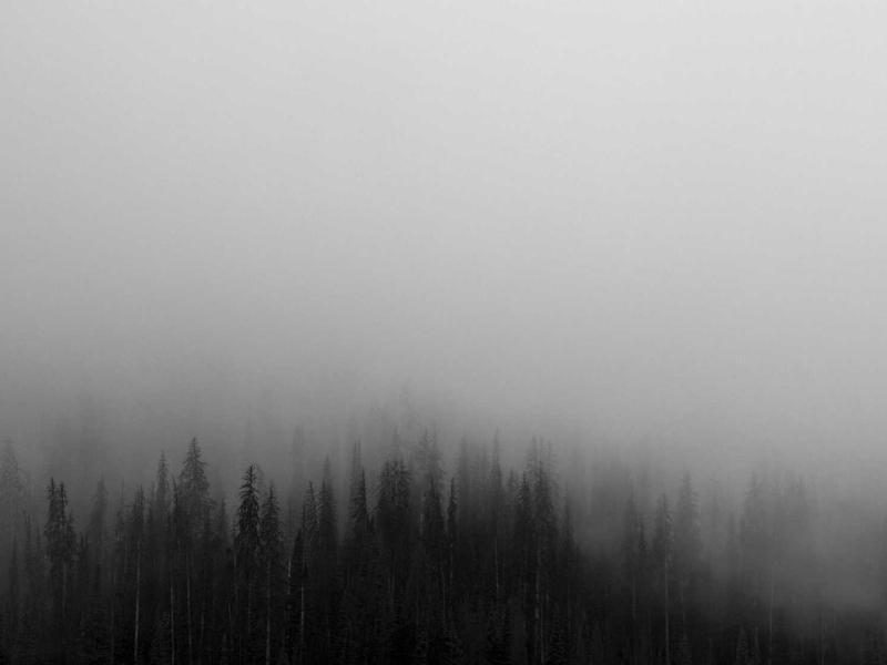 Laravel Performance Optimization & Security Audit