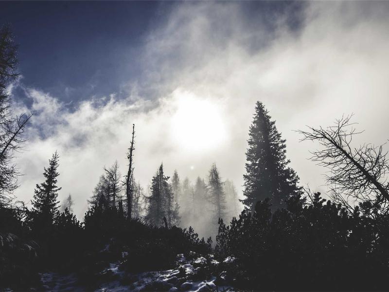 iOS App with Firebase Backend Integration